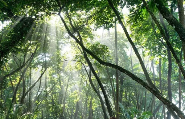 Costa Rica